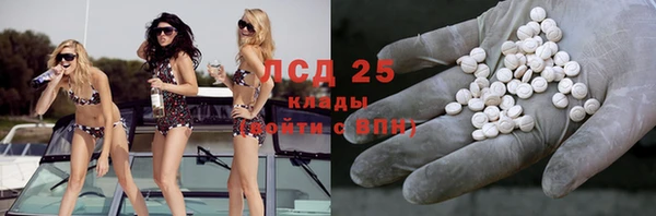 хмурый Алексин