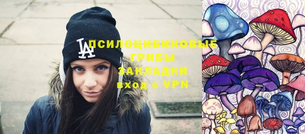 дживик Алзамай