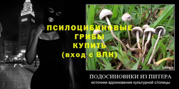 хмурый Алексин