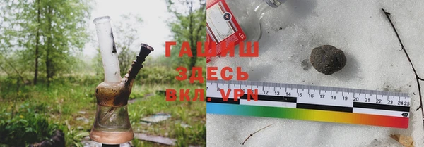 хмурый Алексин