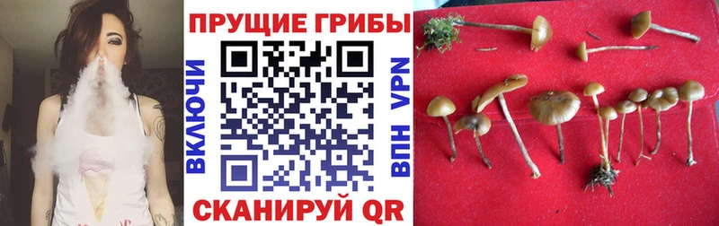 как найти закладки  маркетплейс наркотические препараты  Псилоцибиновые грибы ЛСД  Южно-Сахалинск 